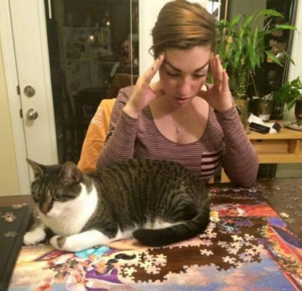 gatto vuole il puzzle