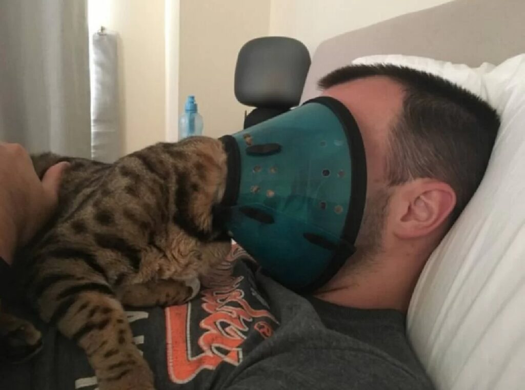 gatto bacia proprietario