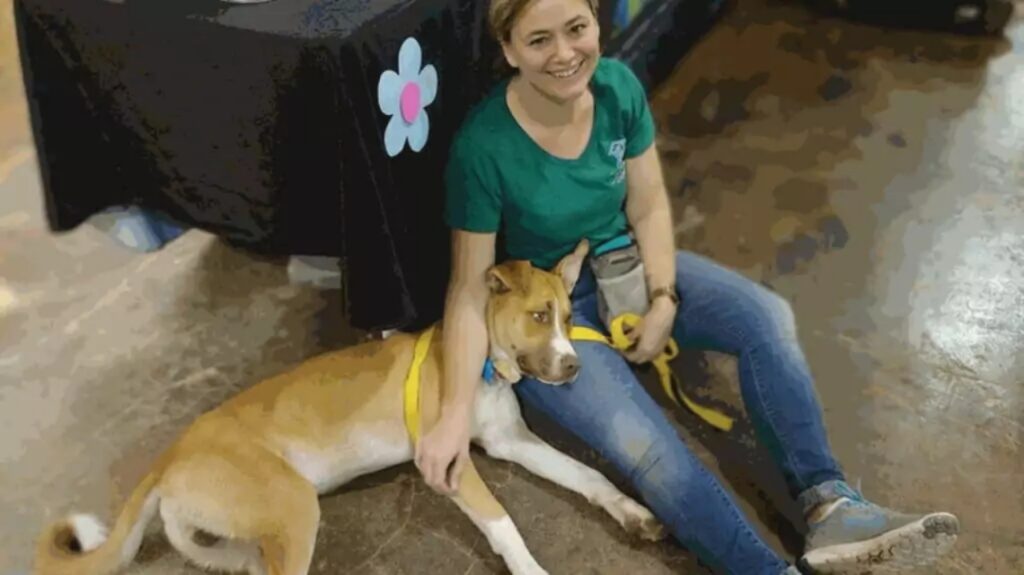 Cagnolino riportato in canile dopo due giorni