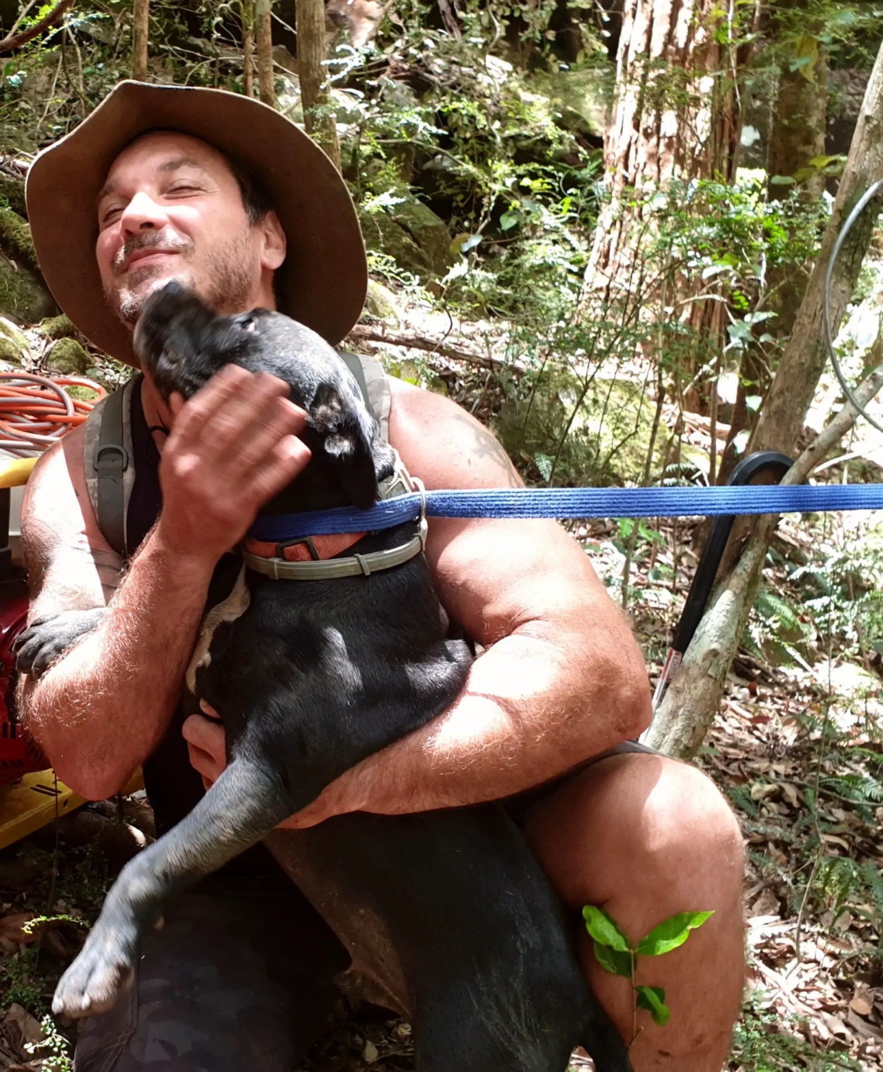 Cane dopo essere stato salvato vuole un abbraccio confortevole