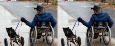 Cucciolo disabile