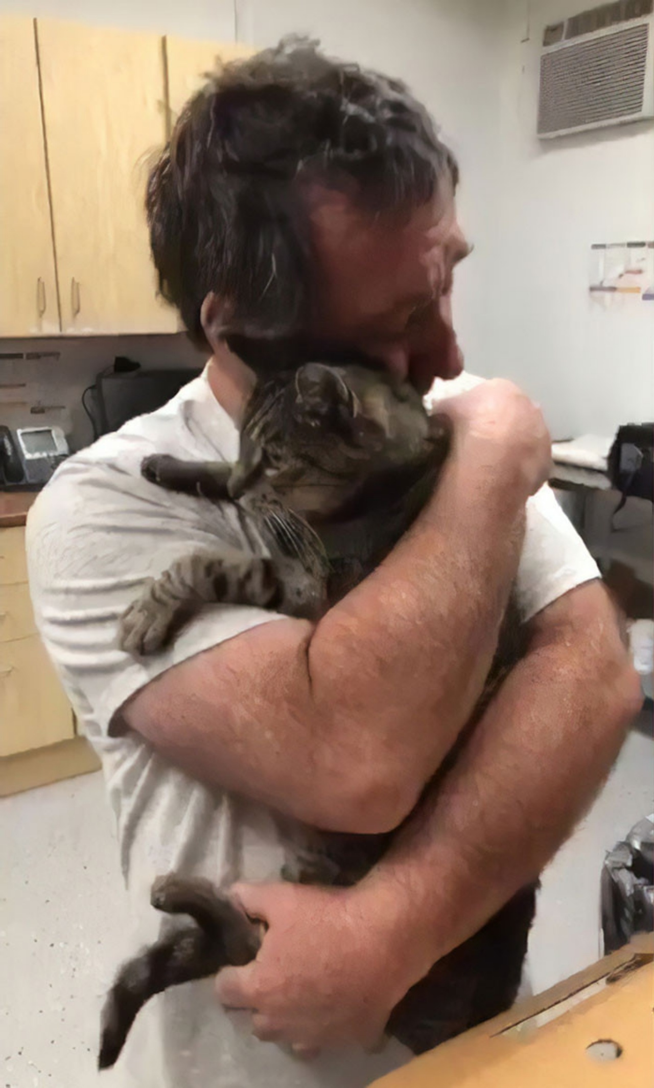Gatto rivede il suo gatto dopo 7 anni dalla sua scomparsa