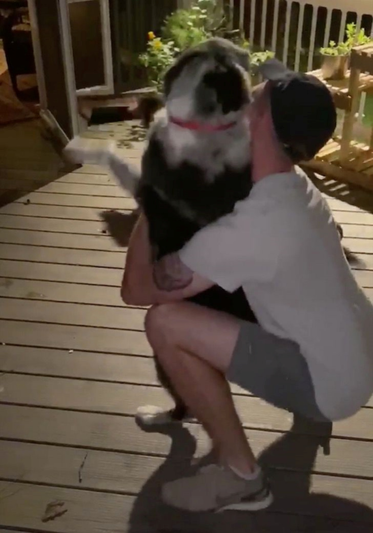 Il militare incontra il suo cane dopo un anno