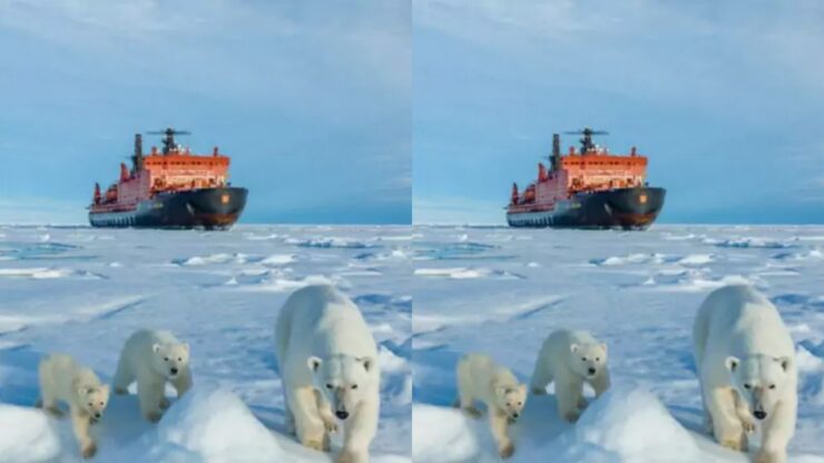 Orso polare con tre cuccioli