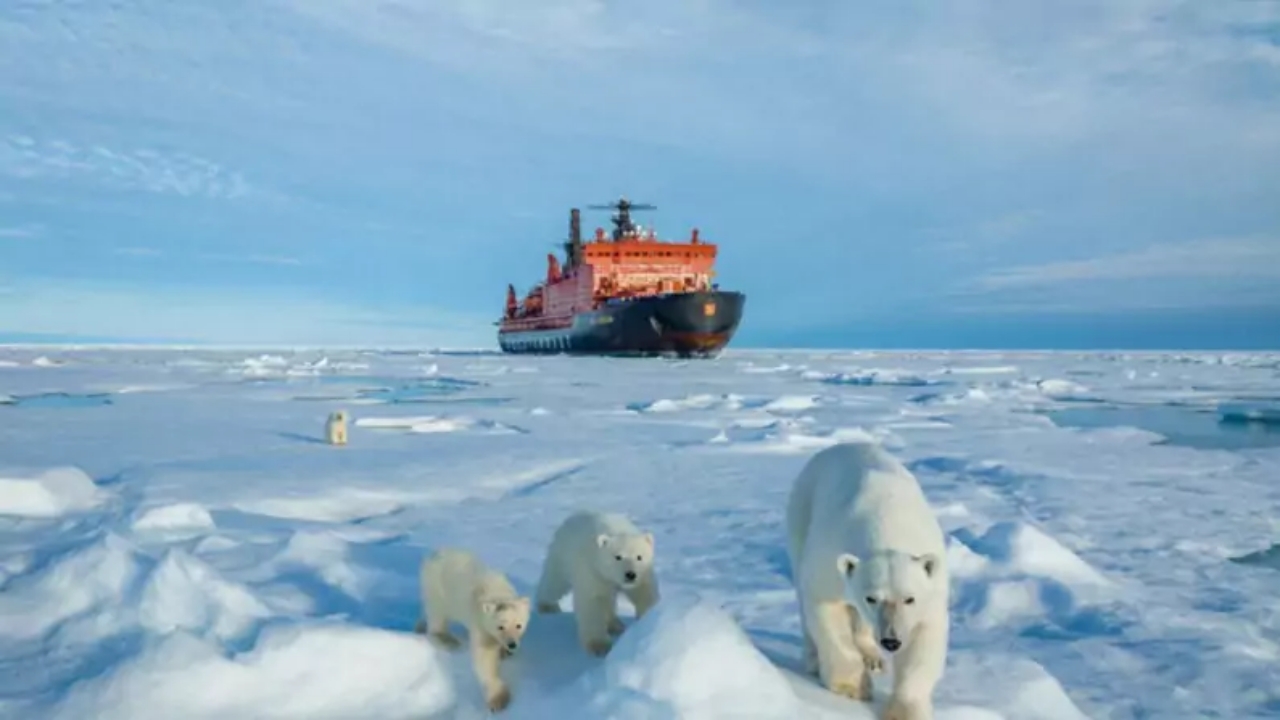 Orso polare con tre cuccioli