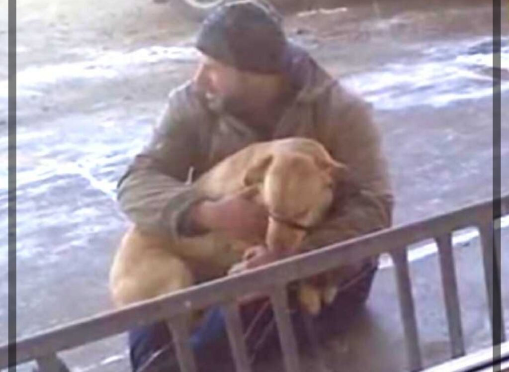 Un uomo che salva la vita ad un cane.