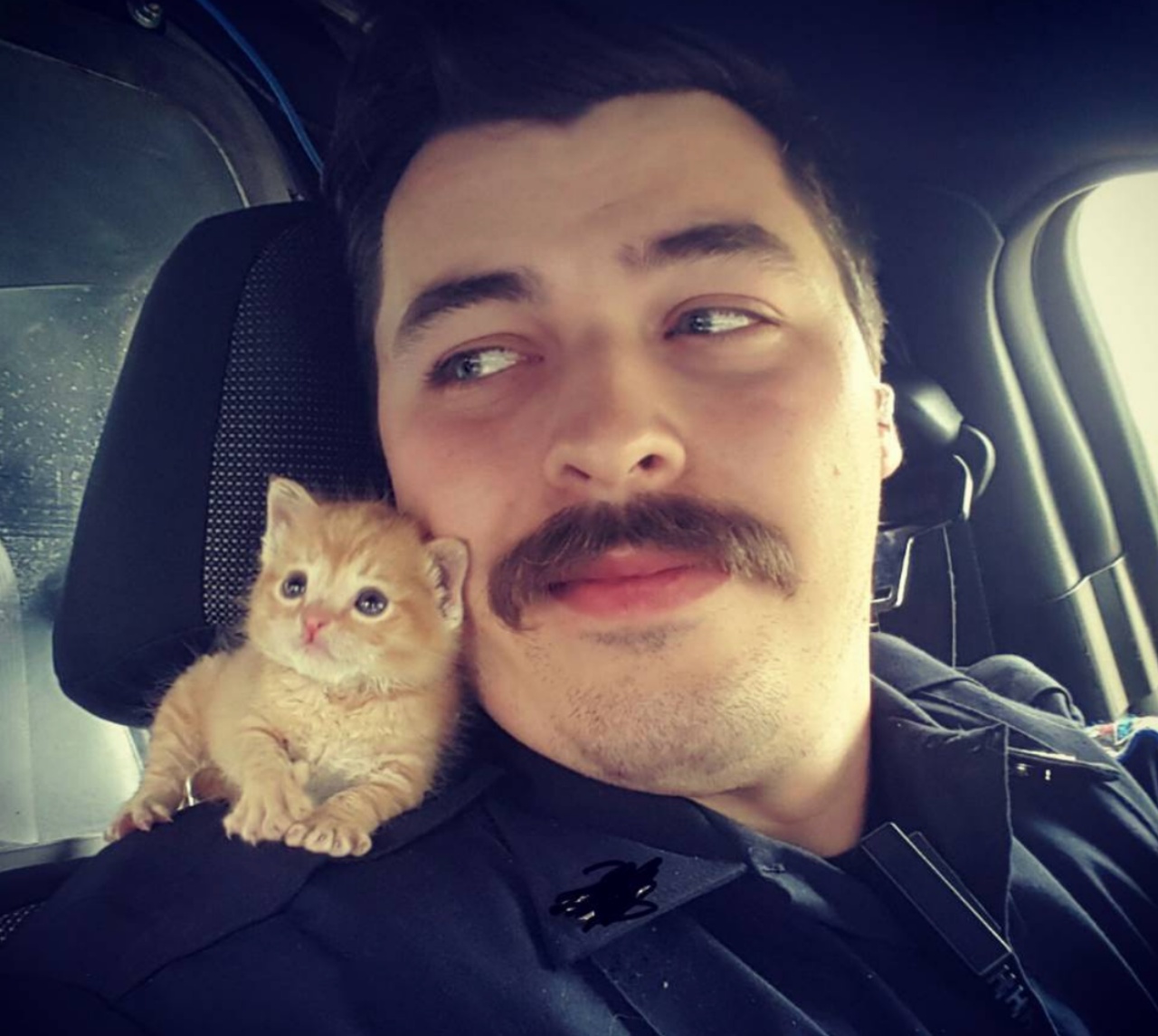 Un poliziotto salva gattino, diventano migliori amici
