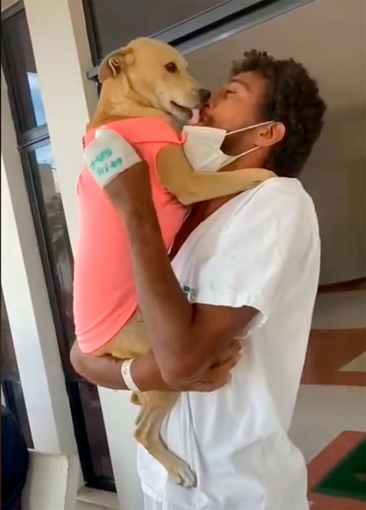 cane si ricongiunge al padrone appena uscito dall'ospedale