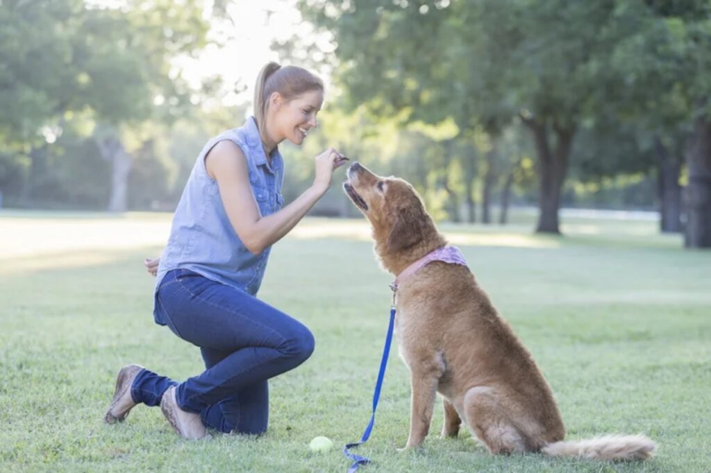 come capire se hai un cane felice