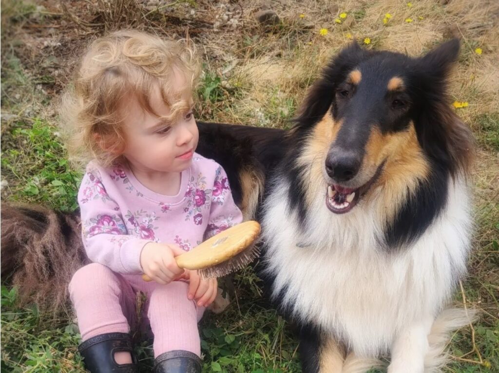 Il cane diventa guardia del corpo