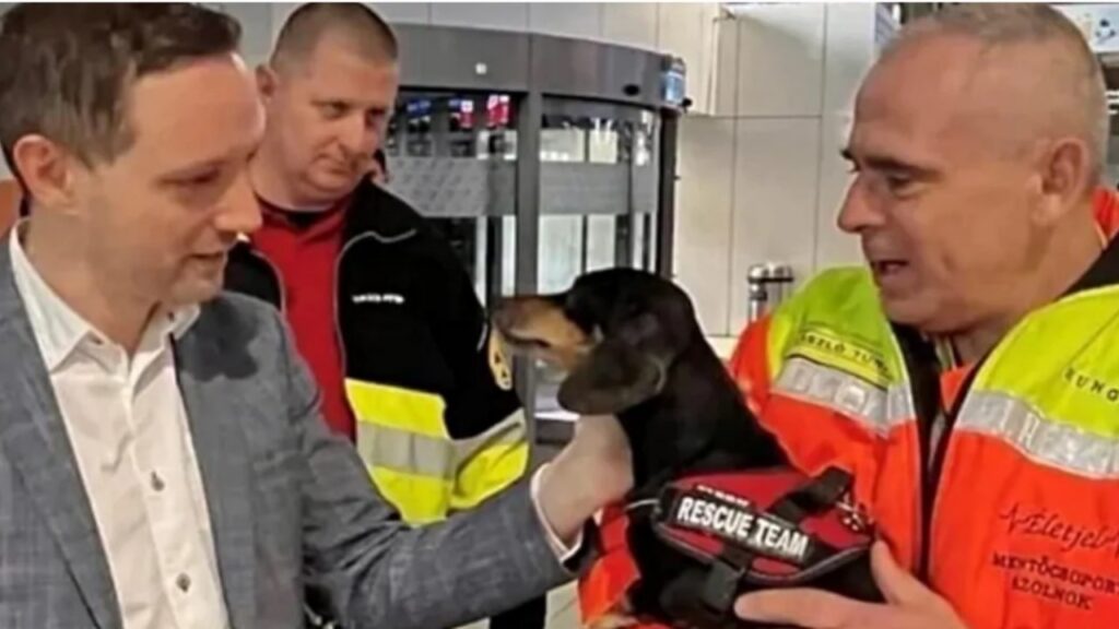 Cane sta salvando molte vite in Turchia