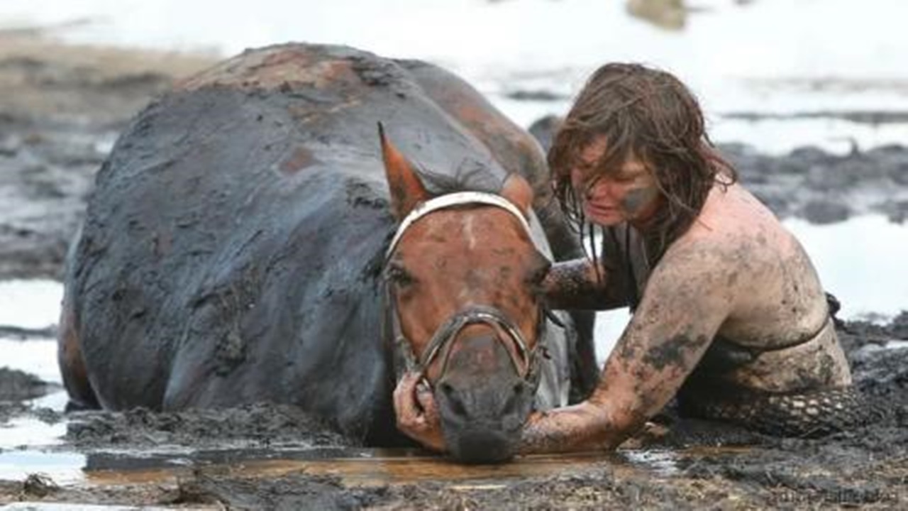 cavallo bloccato nel fango
