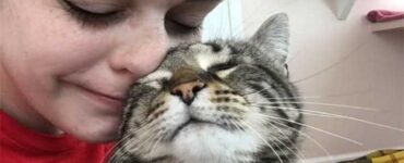 gatto cieco coccole