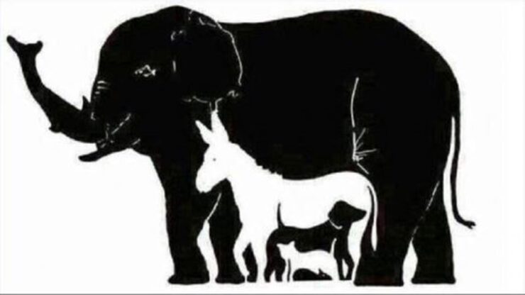 sfida visiva elefante
