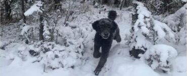 uomo che corre neve