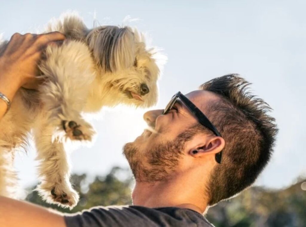 Lo straziante appello di un veterinario