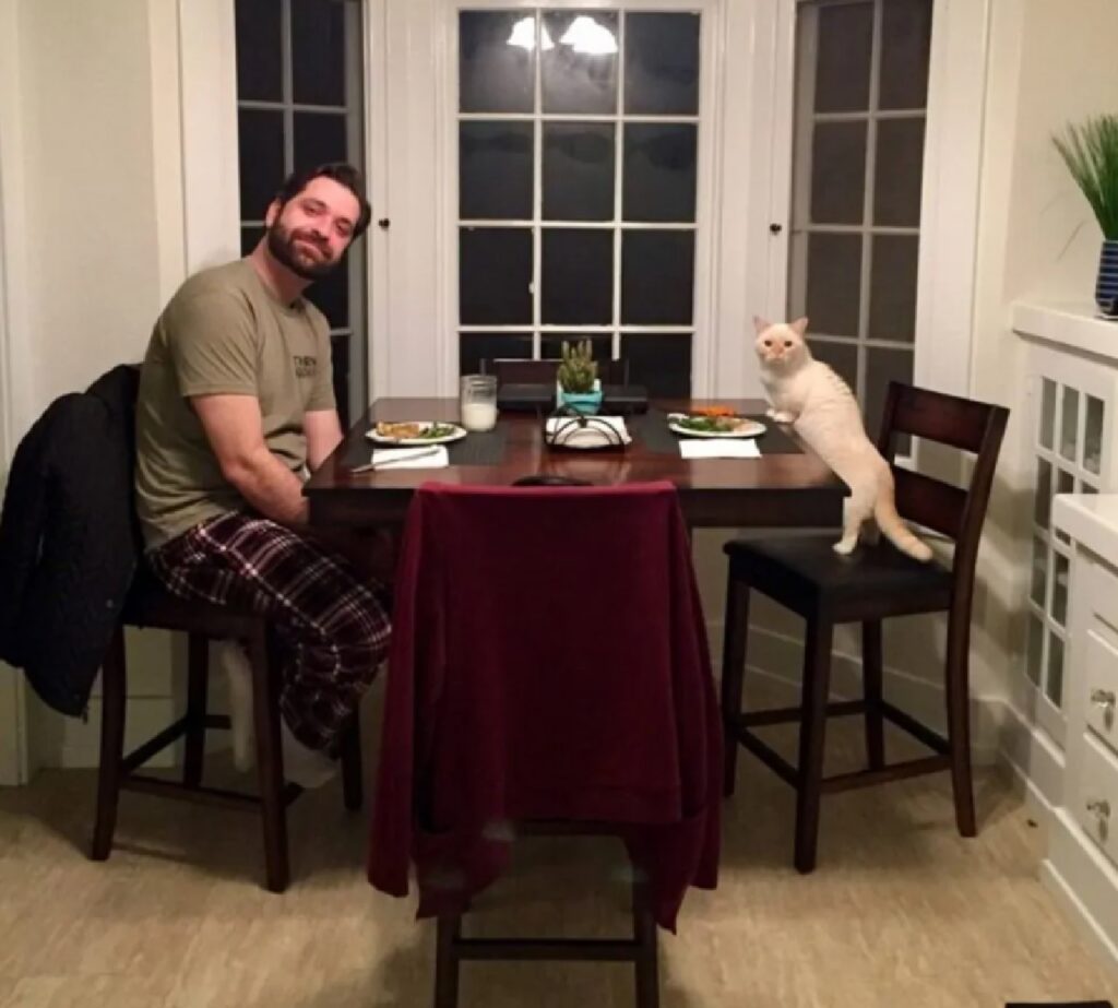 gatto e uomo mangiano