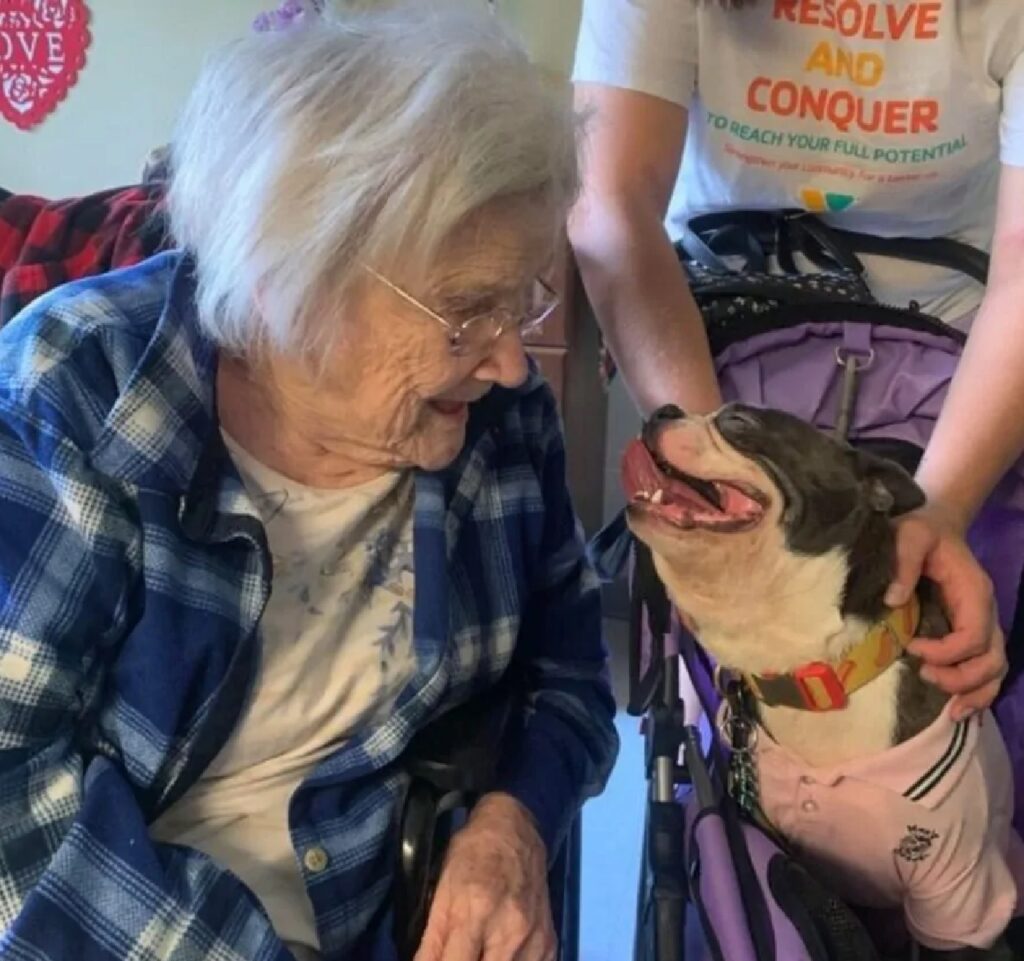 cane regala sorriso anziana