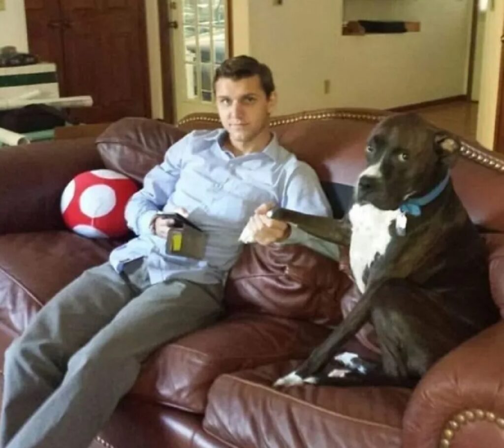 cane seduto divano con uomo