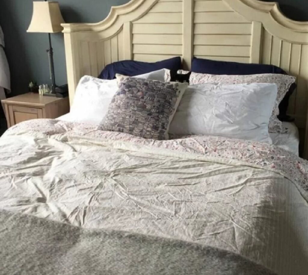 gatto cuscino del letto
