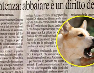 Abbaiare è un diritto del cane, lo dice il giudice