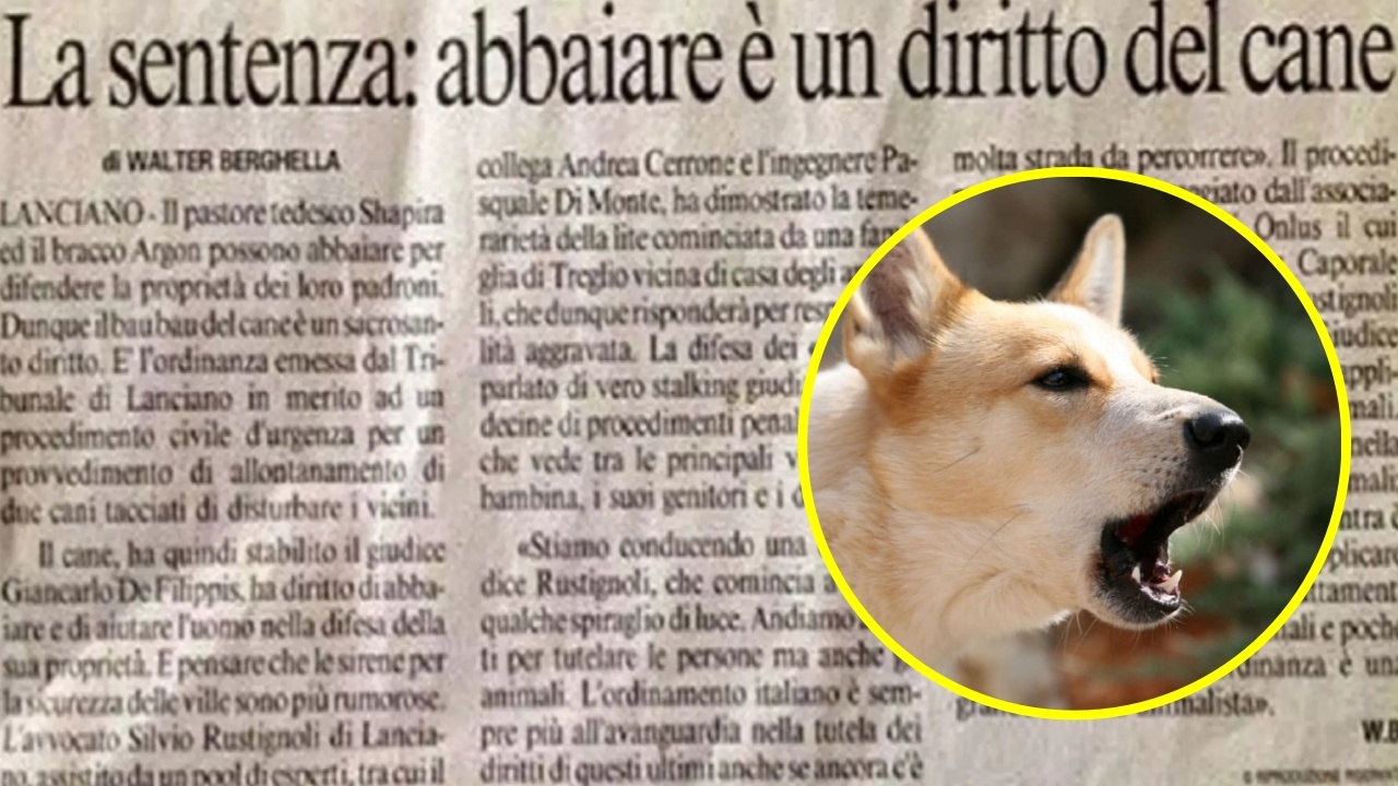 Abbaiare è un diritto del cane, lo dice il giudice