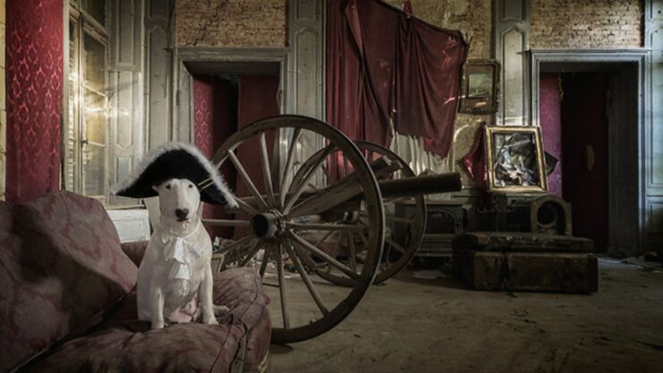 Cane protagonista delle foto dei luoghi abbandonati