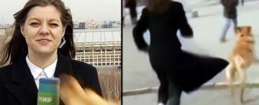 Cane ruba il microfono ad una giornalista