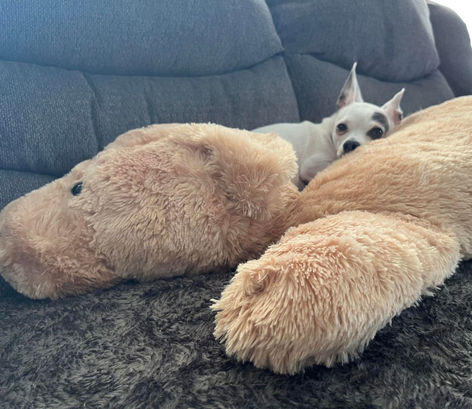 Tim con il suo peluche