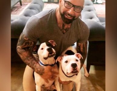 Dave Bautista a adottato due cuccioli di pitbull