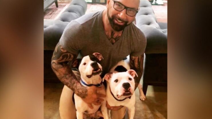 Dave Bautista a adottato due cuccioli di pitbull