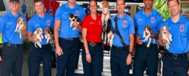 Pompieri salvano i cuccioli aiutando la loro mamma a partorire