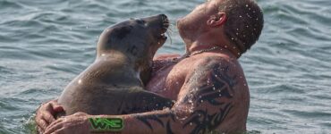 La foca Sammy è molto socievole e amica degli umani