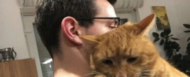 animali affettuosi micio