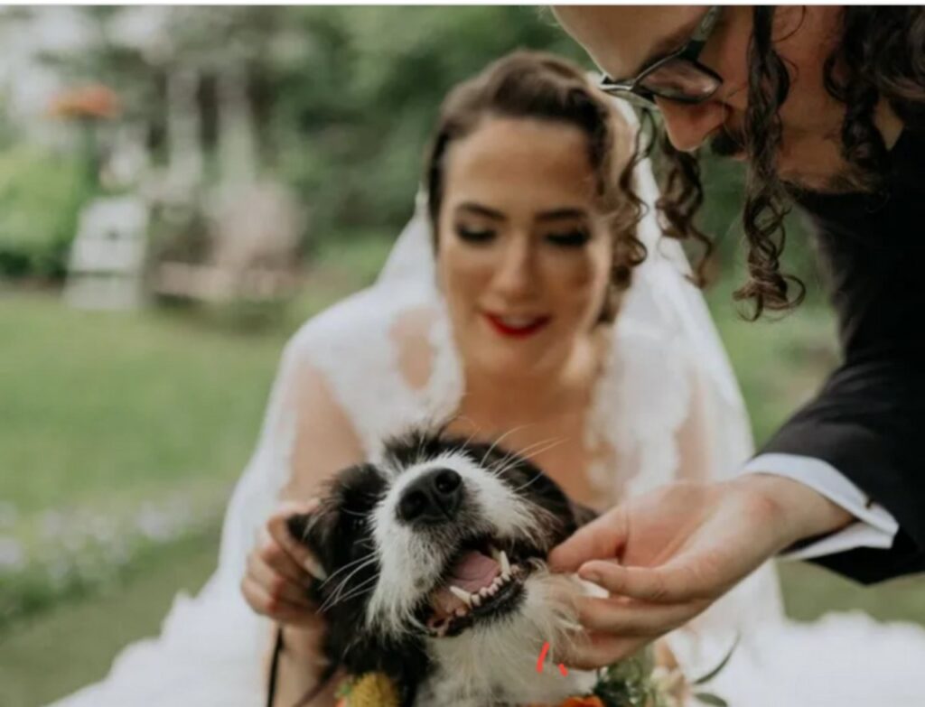 Momenti di dolcezza degli animali