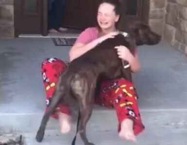 cagnolino adottato