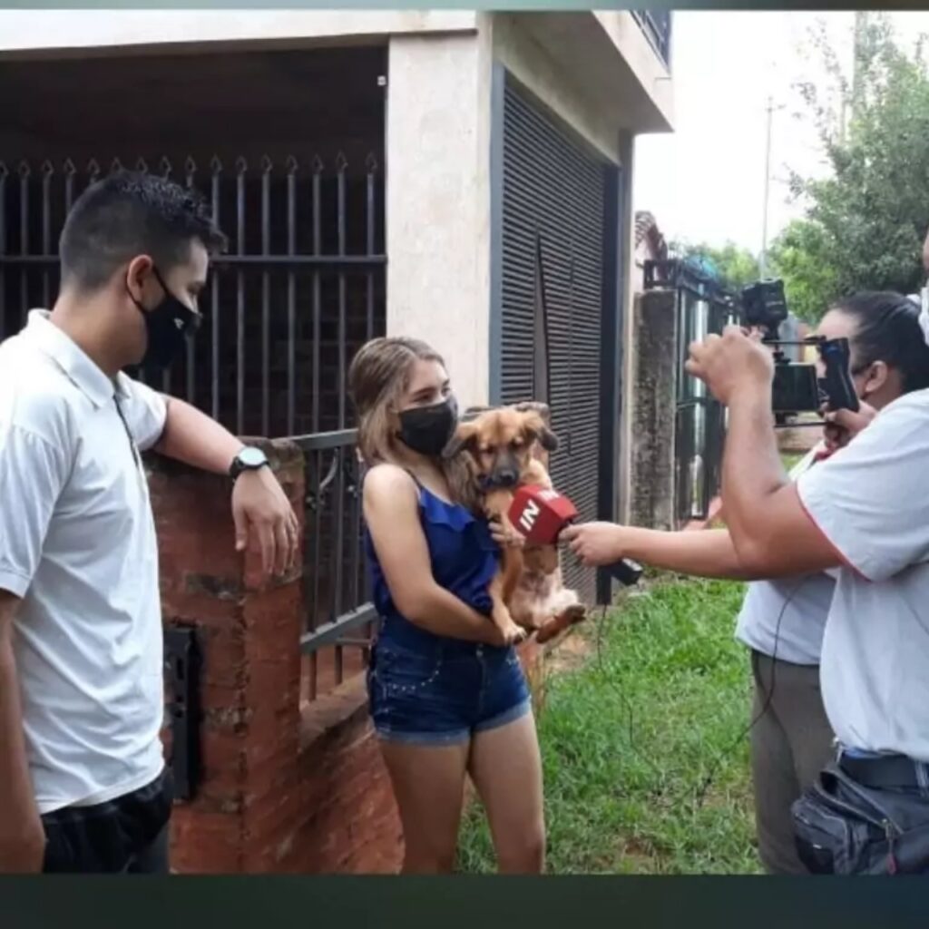 cagnolino immortalato durante un trasloco