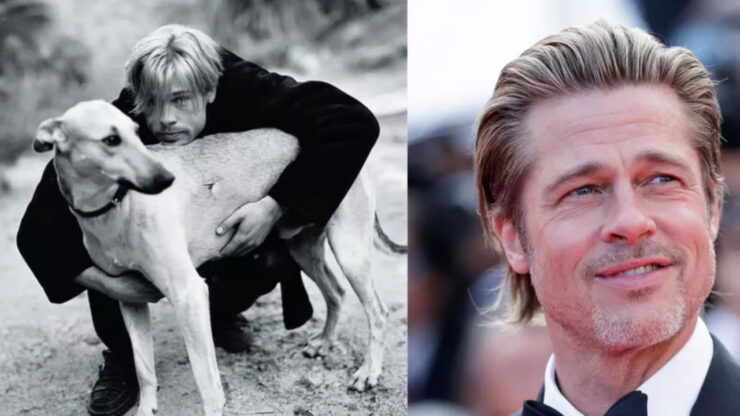 cane Brad Pitt