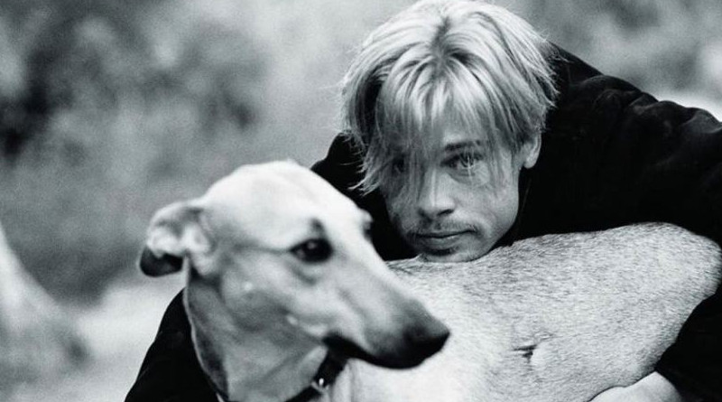 Cane e Brad Pitt