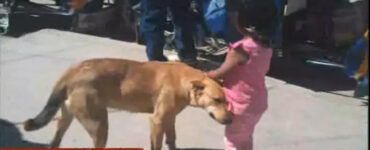 cane aiuta bambina