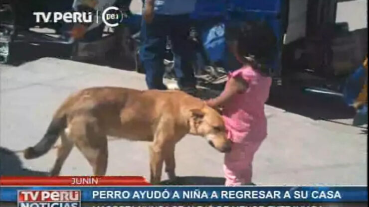 cane aiuta bambina