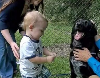 Bambino difeso dalla baby sitter