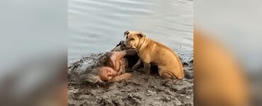 cane generoso fiume