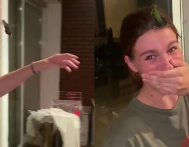 colibrì che vola su una ragazza