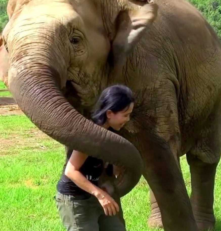 elefantessa abbraccia allevatrice