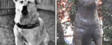 Le foto reali di Hachiko ed i monumenti eretti in suo onore