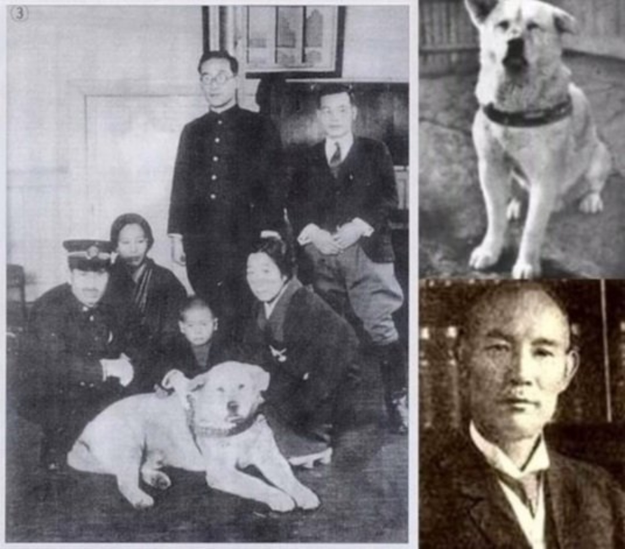 Le foto reali di Hachiko ed i monumenti eretti in suo onore