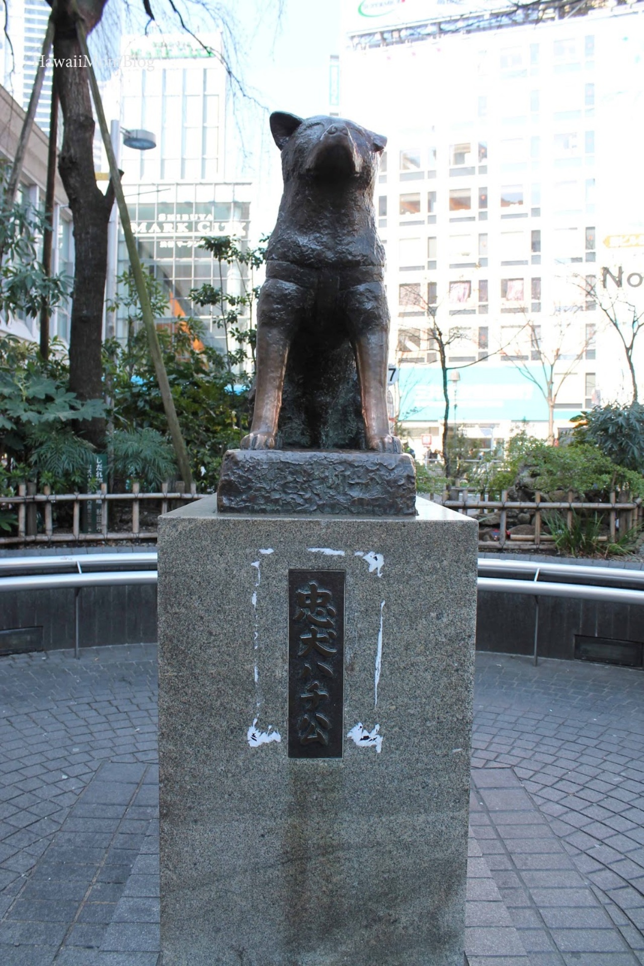 Le foto reali di Hachiko ed i monumenti eretti in suo onore