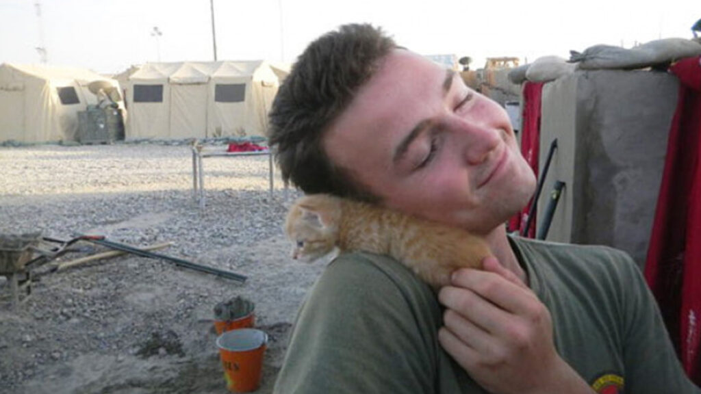 gatto e soldato 
