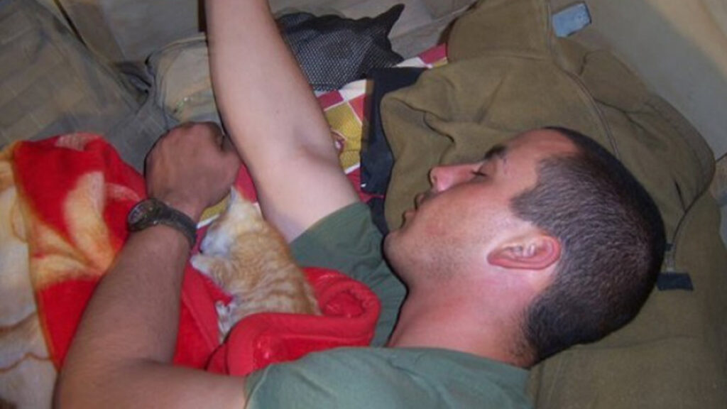 gatto e soldato dormono 